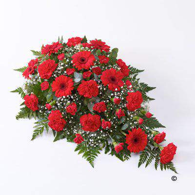 <h2>Extra Large Classic Teardrop Spray in Red | Funeral Flowers</h2>
<ul>
<li>Approximate Size W 50cm H 85cm</li>
<li>Hand created extra-large red spray in fresh flowers</li>
<li>To give you the best we may occasionally need to make substitutes</li>
<li>Funeral Flowers will be delivered at least 2 hours before the funeral</li>
<li>For delivery area coverage see below</li>
</ul>
<br>
<h2>Liverpool Flower Delivery</h2>
<p>We have a wide selection of Funeral Sprays offered for Liverpool Flower Delivery. Funeral Sprays can be provided for you in Liverpool, Merseyside and we can organize Funeral flower deliveries for you nationwide. Funeral Flowers can be delivered to the Funeral directors or a house address. They can not be delivered to the crematorium or the church.</p>
<br>
<h2>Flower Delivery Coverage</h2>
<p>Our shop delivers funeral flowers to the following Liverpool postcodes L1 L2 L3 L4 L5 L6 L7 L8 L11 L12 L13 L14 L15 L16 L17 L18 L19 L24 L25 L26 L27 L36 L70 If your order is for an area outside of these we can organise delivery for you through our network of florists. We will ask them to make as close as possible to the image but because of the difference in stock and sundry items it may not be exact.</p>
<br>
<h2>Liverpool Funeral Flowers | Sprays</h2>
<p>This extra-large traditional teardrop-shaped spray has been loving handcrafted by our expert florists in a distinctive shade of bright red. It includes red germinis and red carnations which are expertly arranged and interspersed with white gypsophila, leather leaf and eucalyptus to create this teardrop-shaped spray.</p>
<br>
<p>Funeral sprays are created in a teardrop shape and are sometimes called teardrop sprays. The flowers are arranged in floral foam, which means the flowers have a water source.</p>
<br>
<p>They are an appropriate arrangement expressing sympathy if you are family, friend or colleague of the deceased.</p>
<br>
<p>We recommend these rather than a funeral sheaf as the flowers are still drinking, so protected against wilting, especially when the funeral is held in the heat.</p>
<br>
<p>Contains 15 red carnations, 11 red germini, 4 white gypsophila, 9 red spray carnations and mixed foliage.</p>
<br>
<h2>Best Florist in Liverpool</h2>
<p>Trust Award-winning Liverpool Florist, Booker Flowers and Gifts, to deliver funeral flowers fitting for the occasion delivered in Liverpool, Merseyside and beyond. Our funeral flowers are handcrafted by our team of professional fully qualified who not only lovingly hand make our designs but hand-deliver them, ensuring all our customers are delighted with their flowers. Booker Flowers and Gifts your local Liverpool Flower shop.</p>
<br>
<p><em>Janice Crane - 5 Star Review on Google - Funeral Florist Liverpool</em></p>
<br>
<p><em>I recently had to order a floral tribute for my sister in laws funeral and the Booker Flowers team created a beautifully stunning arrangement. Thank you all so much, Janice Crane.</em></p>